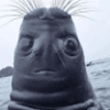 jacobdfern